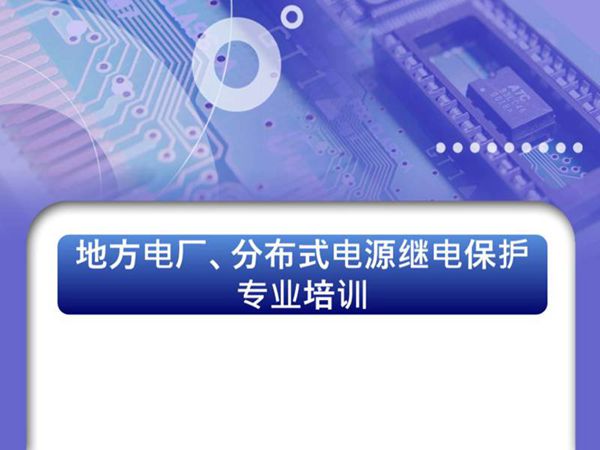 地方电厂 分布电源继电保护专业培训课件