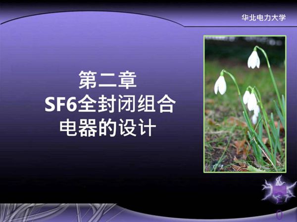 第二章 SF6全封闭组合电器设计
