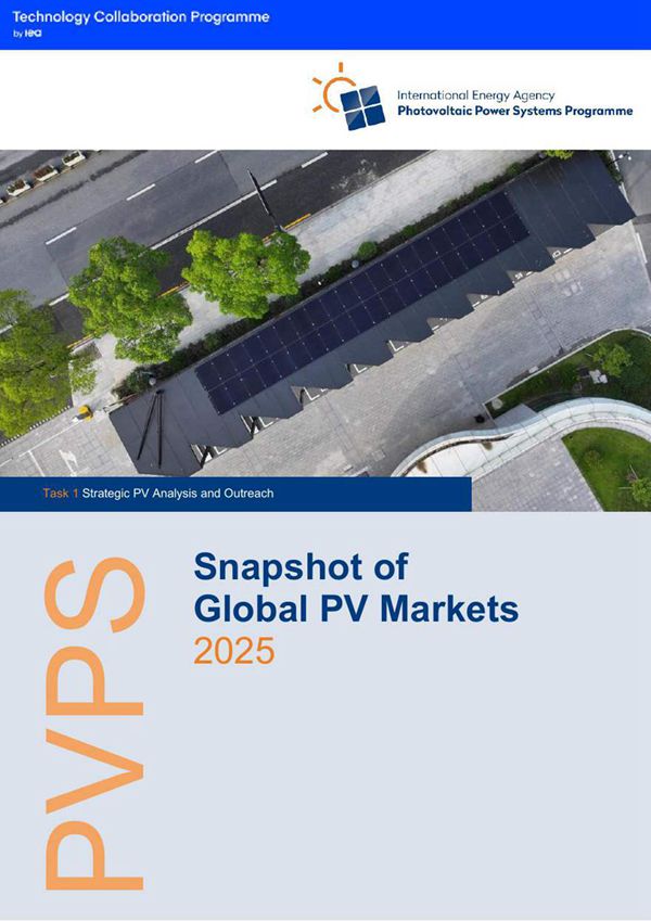 全球太阳能光伏市场回顾2025