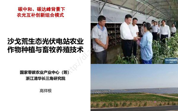 沙戈荒生态光伏电站农业作物种植与畜牧养殖技术