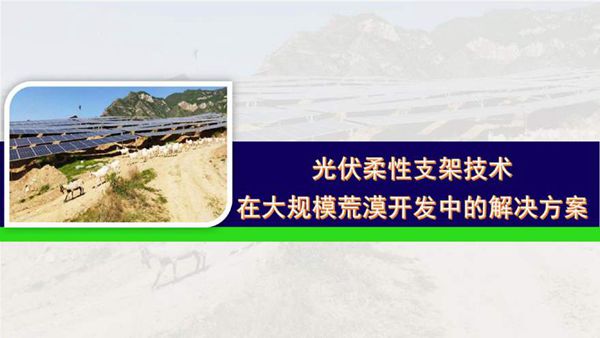 光伏柔性支架技术在大规模荒漠开发中的解决方案