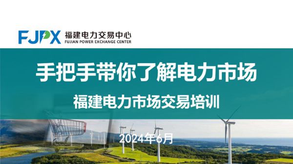 手把手带你了解电力市场