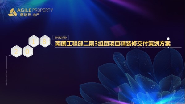 住宅楼项目精装修交付策划方案,46页PPT