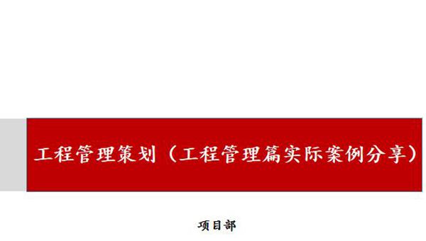 大型综合项目工程管理策划(PPT，案例分享)