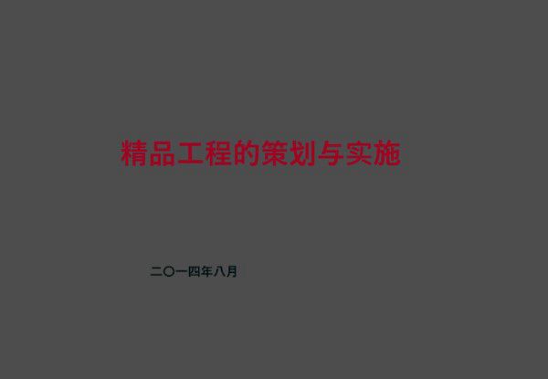 精品工程策划与实施(图文并茂)