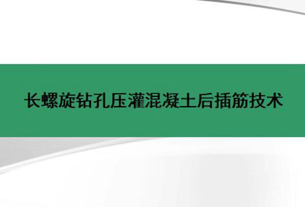 长螺旋钻孔灌注桩后插筋施工技术,50页PPT