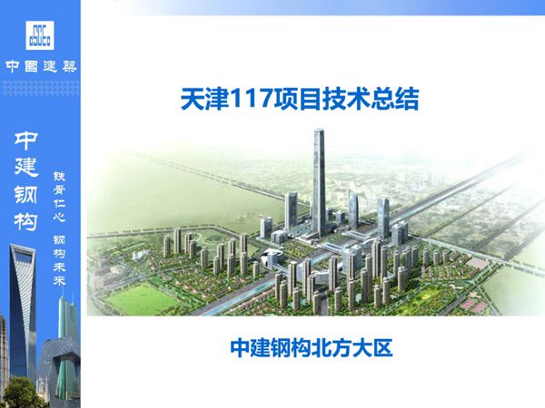 国企117项目钢结构综合施工技术总结