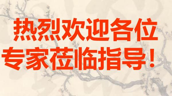 高边坡专家论证汇报