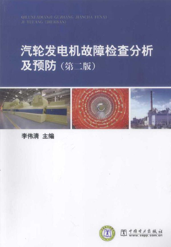 汽轮发电机故障检查分析及预防 第二版