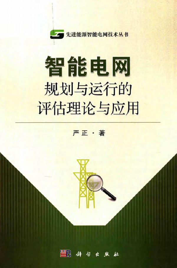 智能电网规划与运行的评估理论与应用