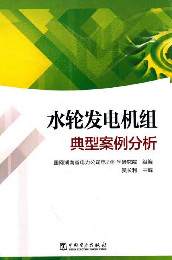 水轮发电机组典型案例分析