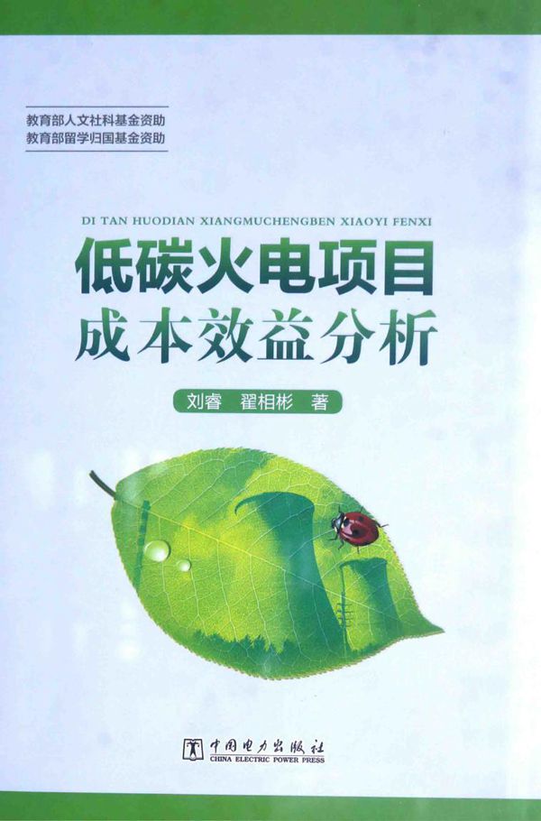 低碳火电项目成本效益分析
