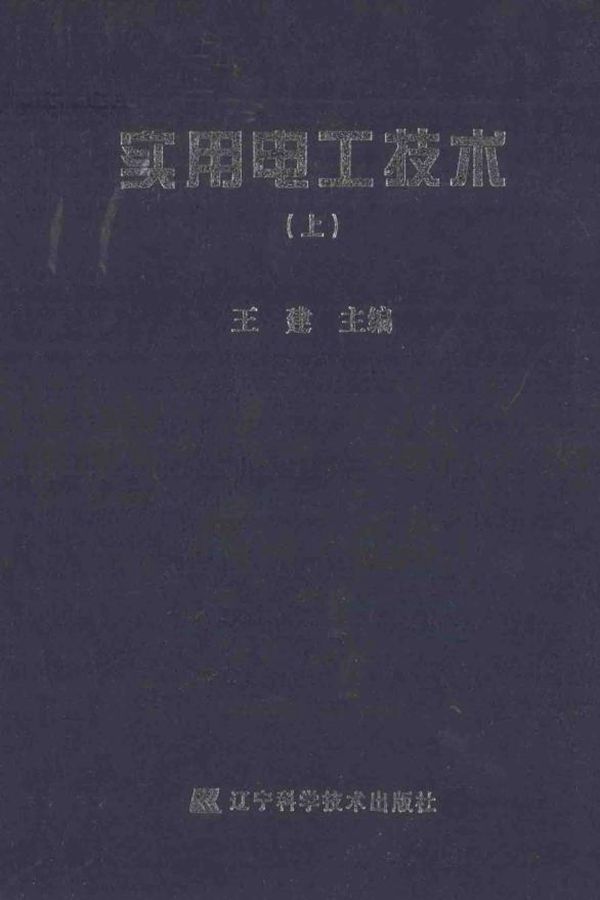 实用电工技术 上 (王建)