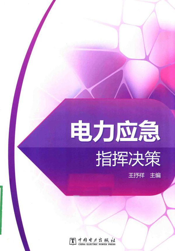 电力应急指挥决策