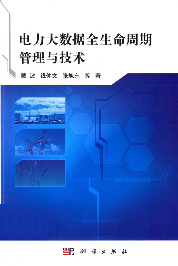 电力大数据全生命周期管理与技术 戴波等著 (2020版)
