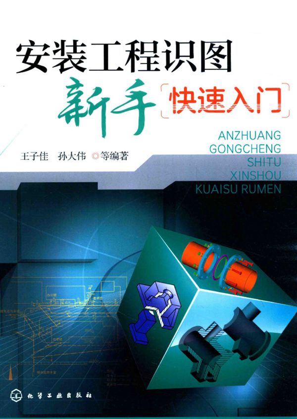 安装工程 识图新手快速入门 王子佳 孙大伟