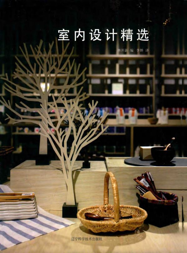 室内设计精选 林开新