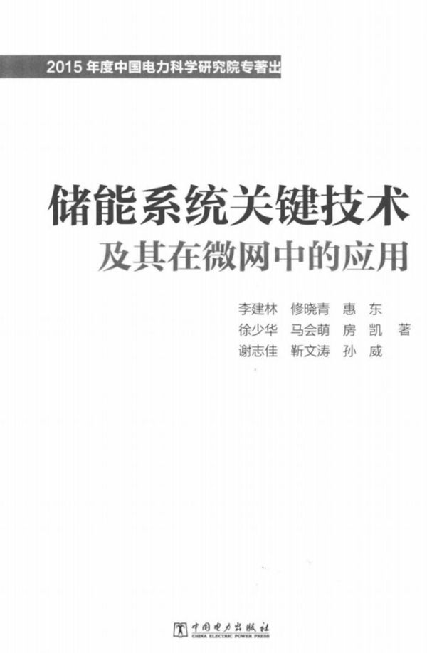 储能系统关键技术及其在微网中的应用 李建林