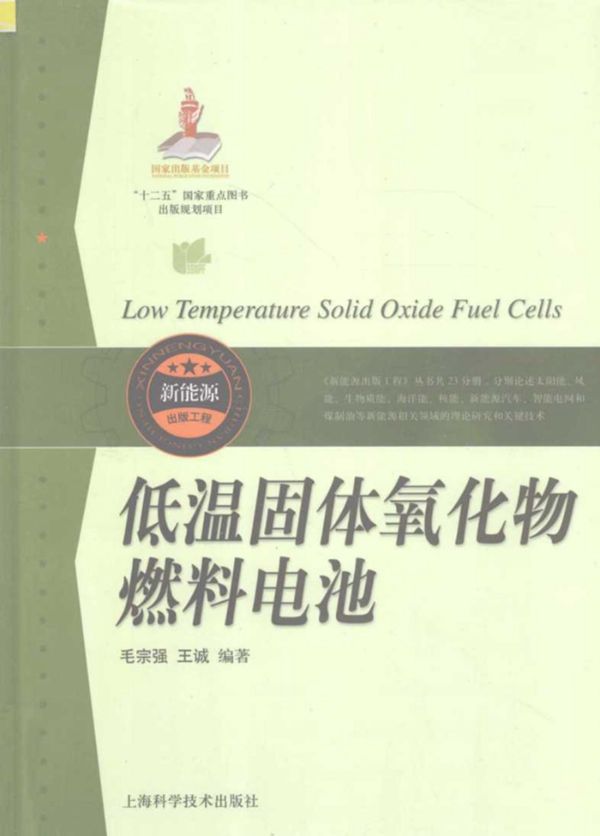 低温固体氧化物燃料电池 (毛宗强,王诚)2013年