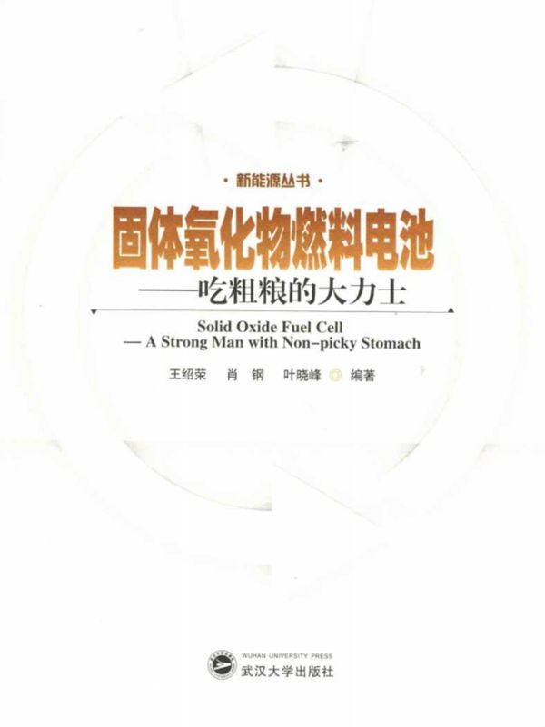固体氧化物燃料电池 吃粗粮的大力士 (王绍荣,肖钢,叶晓峰)2013年