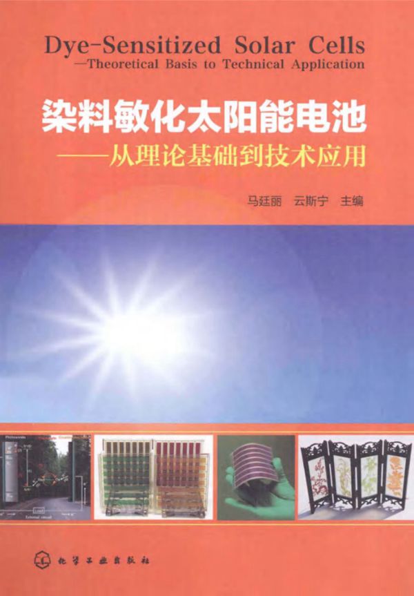 染料敏化太阳能电池从理论基础到技术应用 (马廷丽,云斯宁)2013年