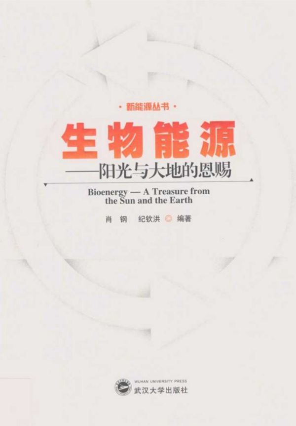 生物能源阳光与大地的恩赐 (肖钢，纪钦洪)(2013版)
