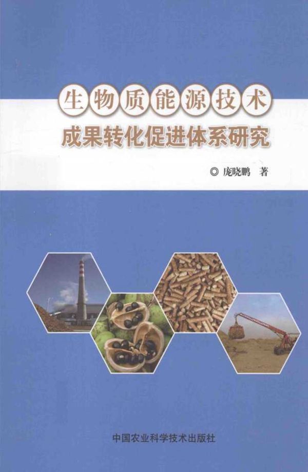 生物质能源技术成果转化促进体系研究 (庞晓鹏)(2014版)
