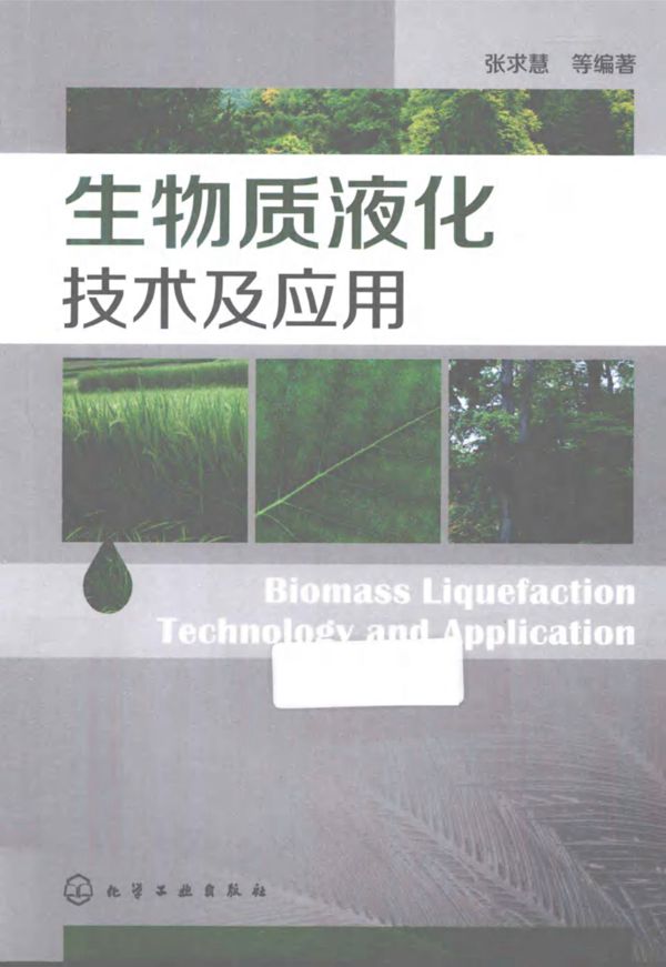 生物质液化技术及应用 (张求慧)(2013版)