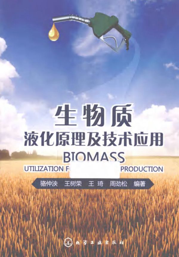 生物质液化原理及技术应用 (骆仲泱，王树荣，王琦)(2013版)