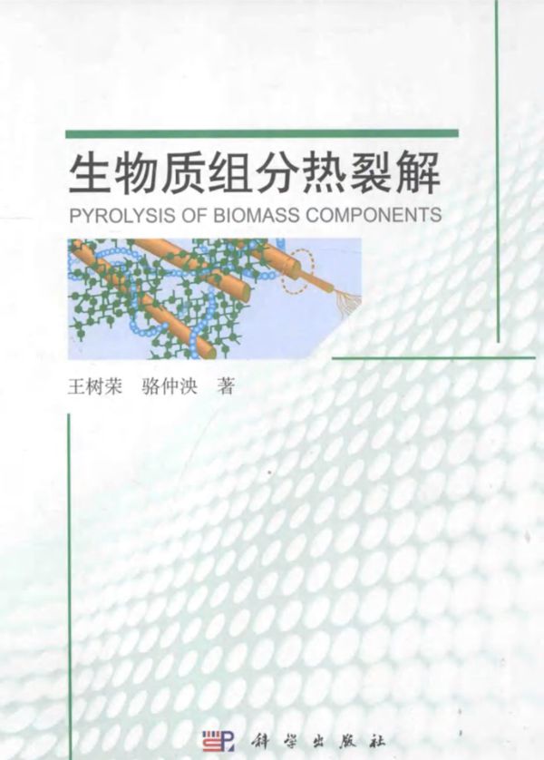 生物质组分热裂解 (王树荣,骆仲泱)(2013版)