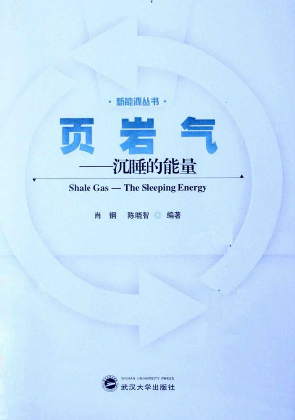 页岩气 沉睡的能量 (肖钢陈晓智 (2012版)