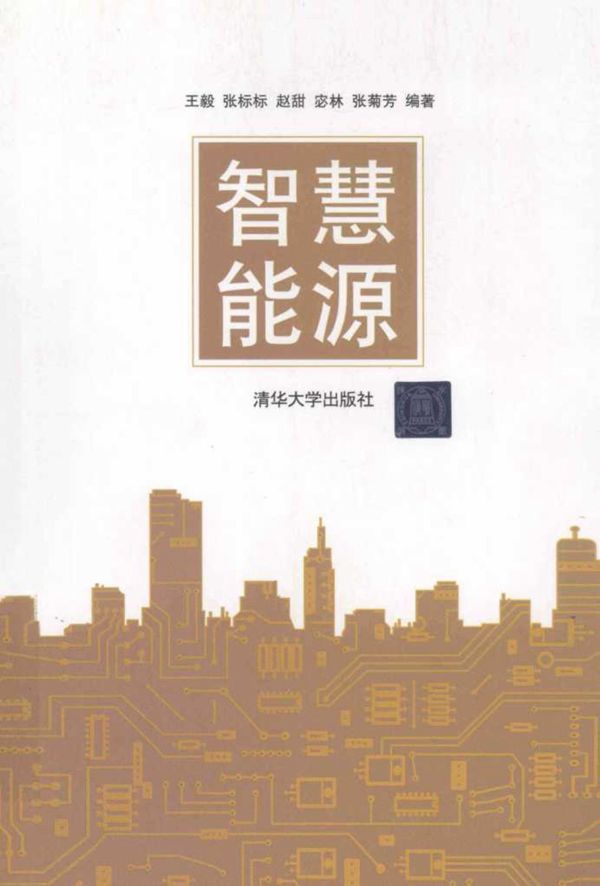 智慧能源 (朱良楹)(2012版)