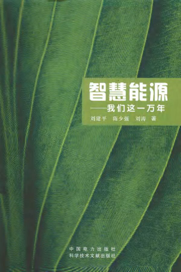智慧能源我们这一万年 (刘建平,陈少强,刘涛)(2013版)