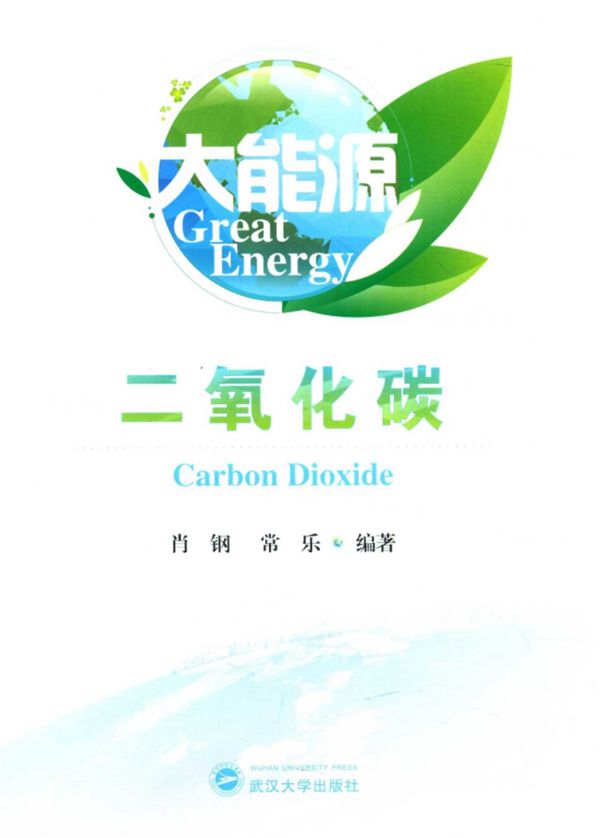 大能源 二氧化碳