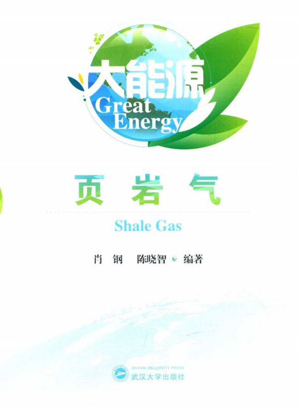 大能源 页岩气