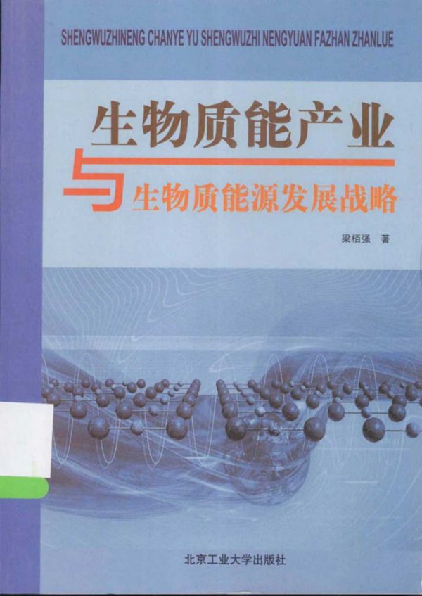 生物质能产业与生物质能源发展战略