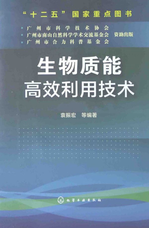 生物质能高效利用技术