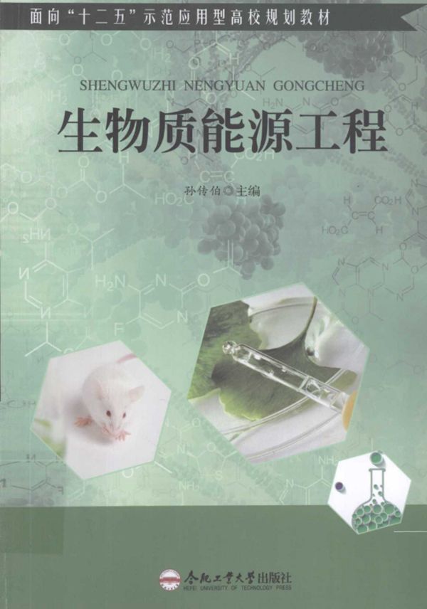 生物质能源工程 孙传伯 (2015版)