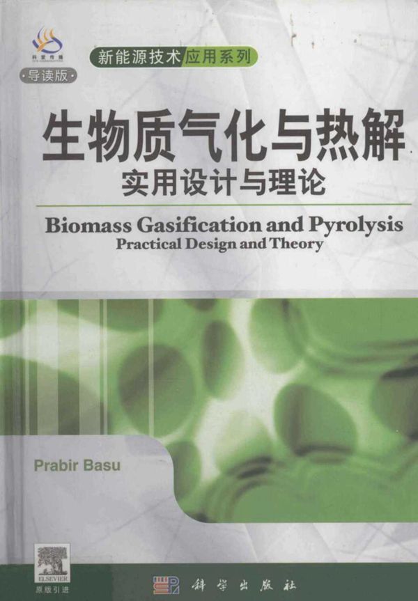 新能源技术利用系列 生物质气化与热解 实用设计与理论 导读版