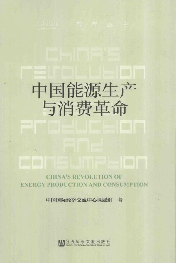 中国能源生产与消费革命