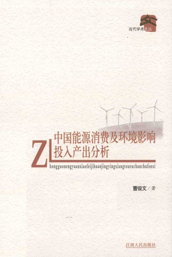 中国能源消费及环境影响投入产出分析