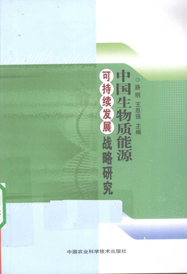 中国生物质能源可持续发展战略研究