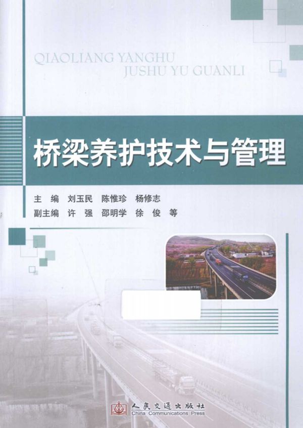桥梁养护技术与管理 2013