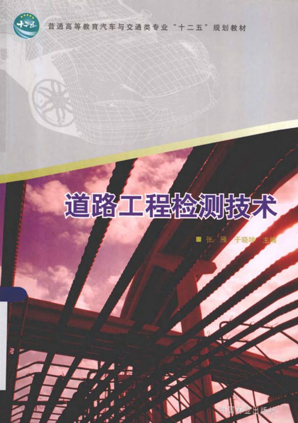 道路工程检测技术 (张雁,于晓坤) 2013