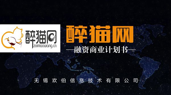 (醉猫网)商业计划书
