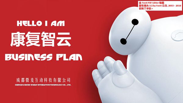 康复智云V5.1商业计划书