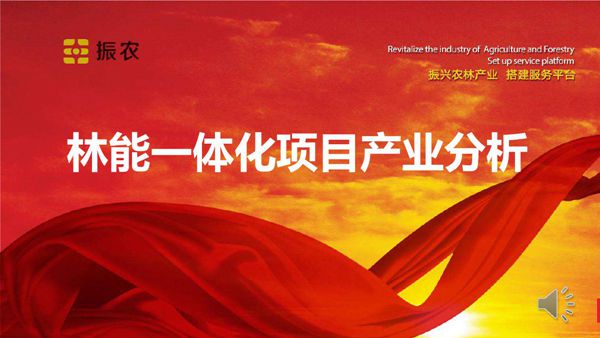 (林能一体化)商业计划书