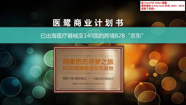 医鹭医疗器械跨境B2B商业计划书